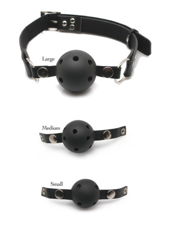 Ball Gag Training System